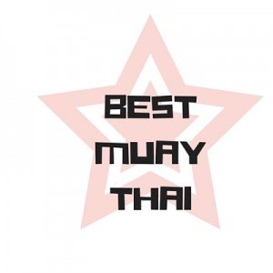 Best Muay Thai Shin Pads